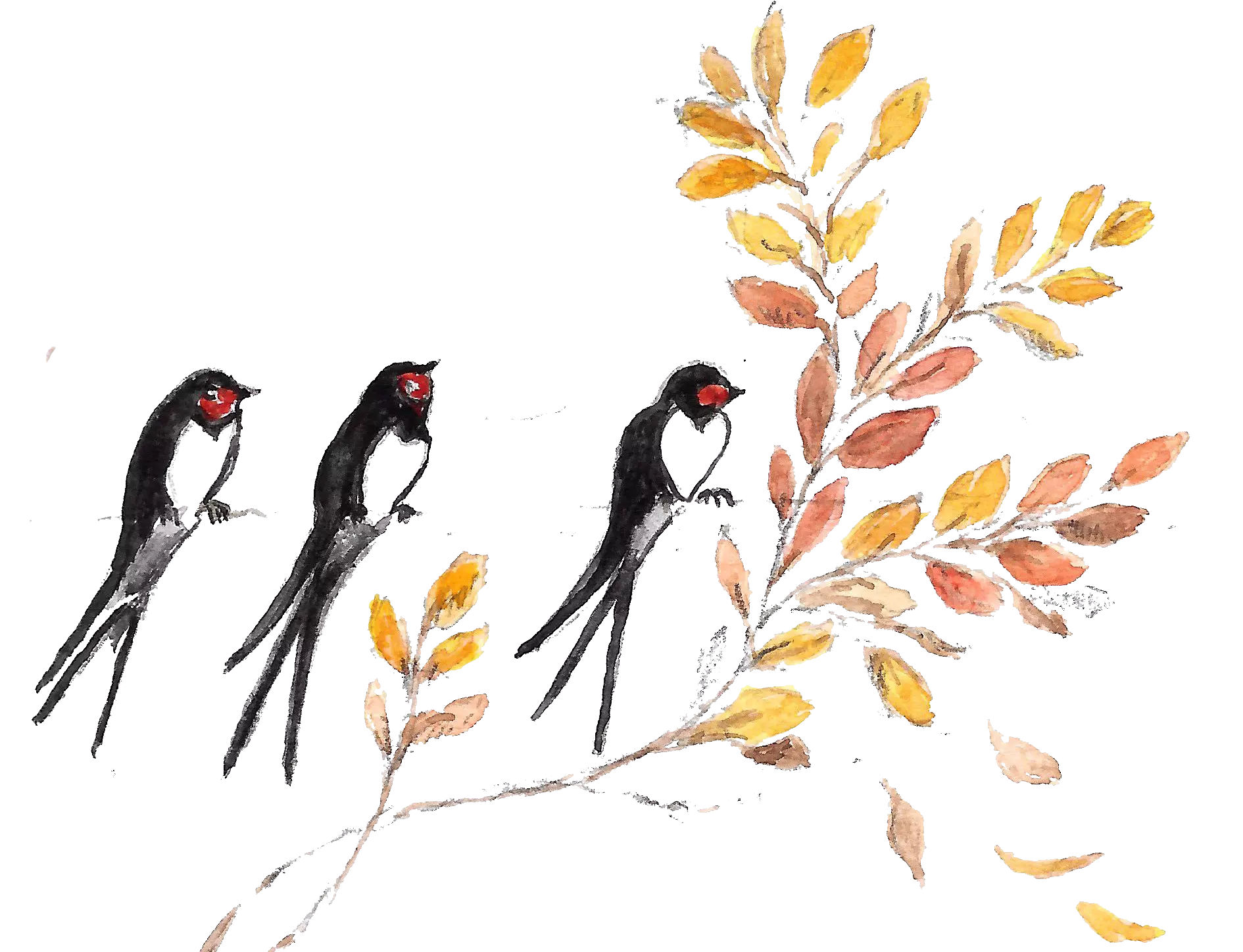 Hirondelles sur fil RECT