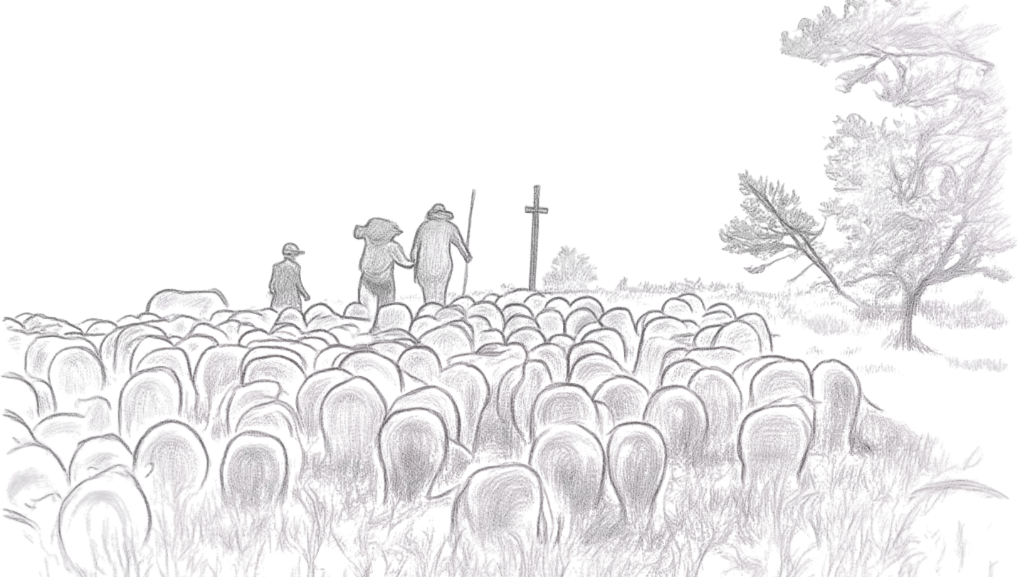 journées paysannes asso (1)