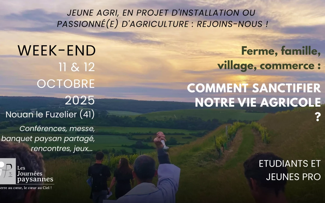 WE jeunes 2025 1300x700